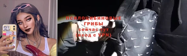 соль ск Арсеньев