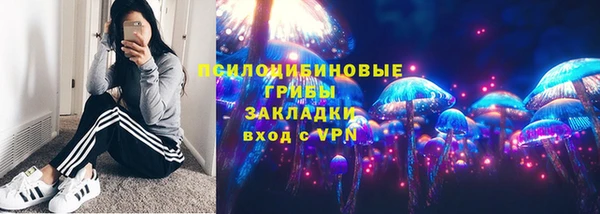 соль ск Арсеньев