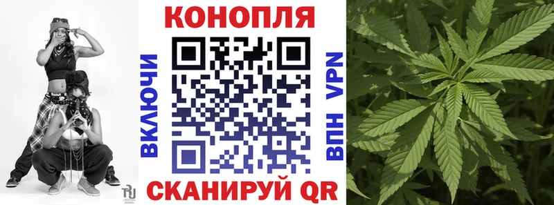 цена   Новоузенск  Канабис MAZAR 